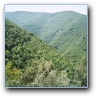 [Click to enlarge image]